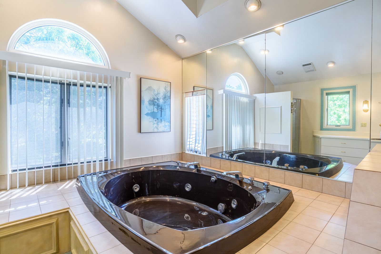 Primary bath with whirlpool tub and skylight